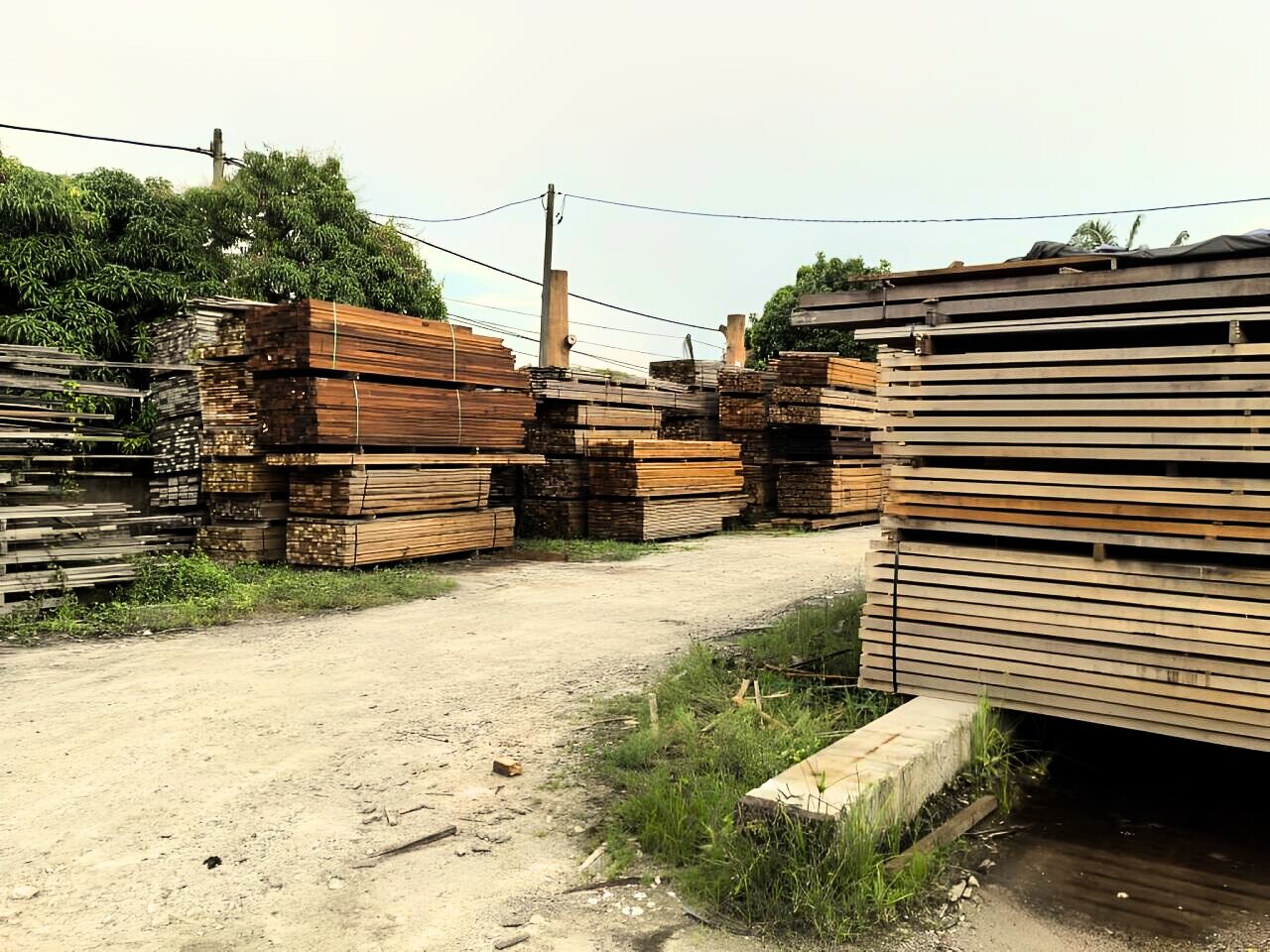 Tiong-San-Banner-edited